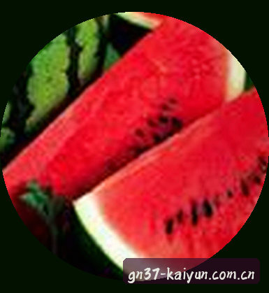 吴涛